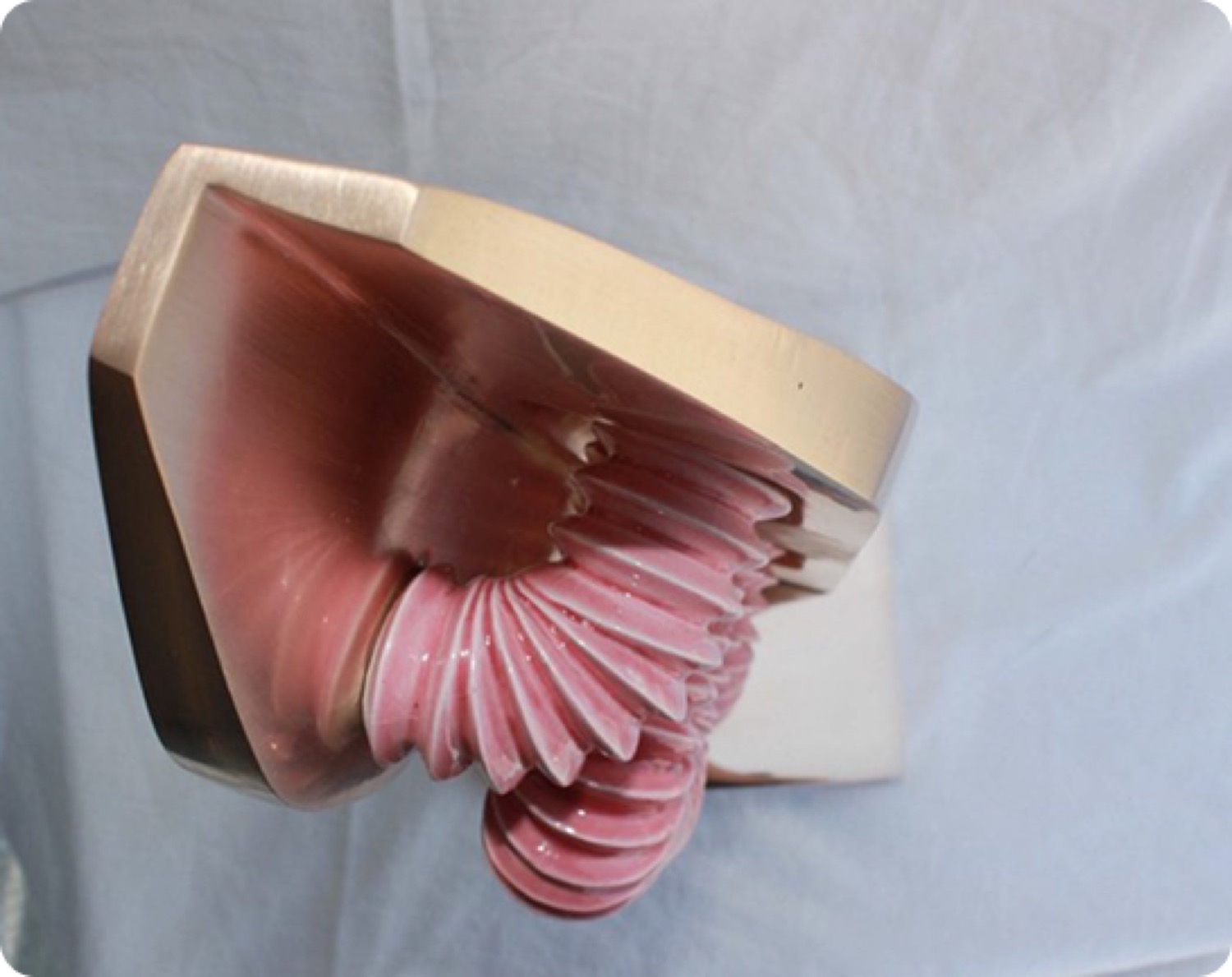 Detail of the pink pleated ceramic interior of Inner Conflict