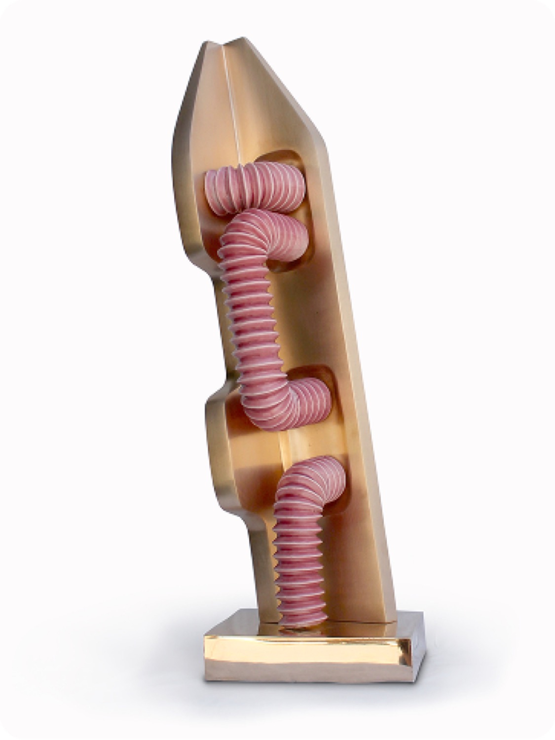 Inner Conflict with three pink coils through the shell